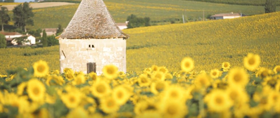 été gastronomique dans le sud ouest