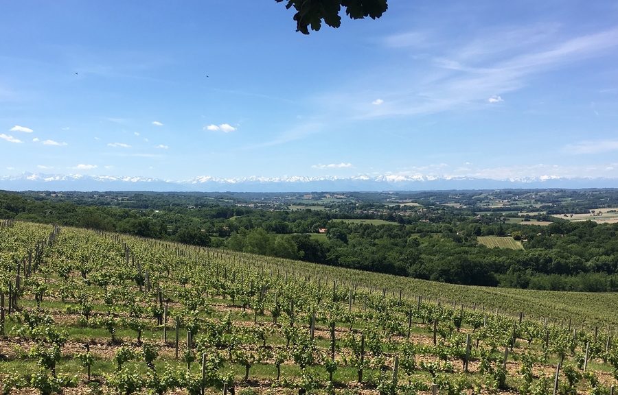 promotions du printemps chez les fleurons de lomagne