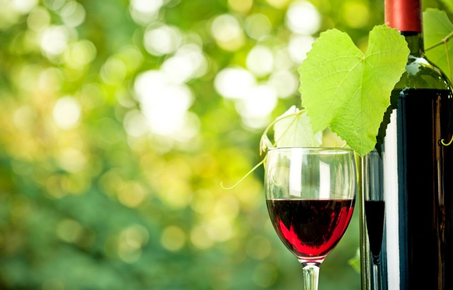 promotions de l'été chez les fleurons de lomagne