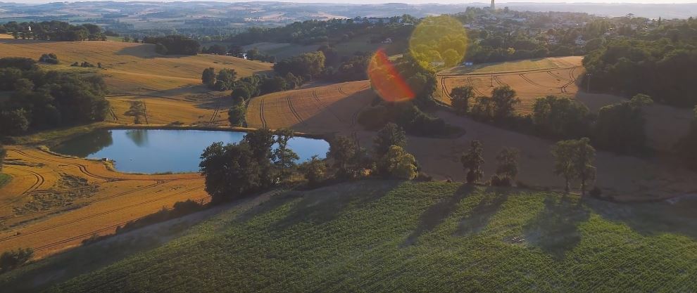 promotions d'automne 2025 chez les fleurons de lomagne