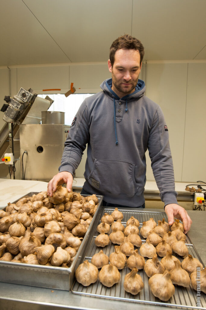 comment se fabrique l'ail noir