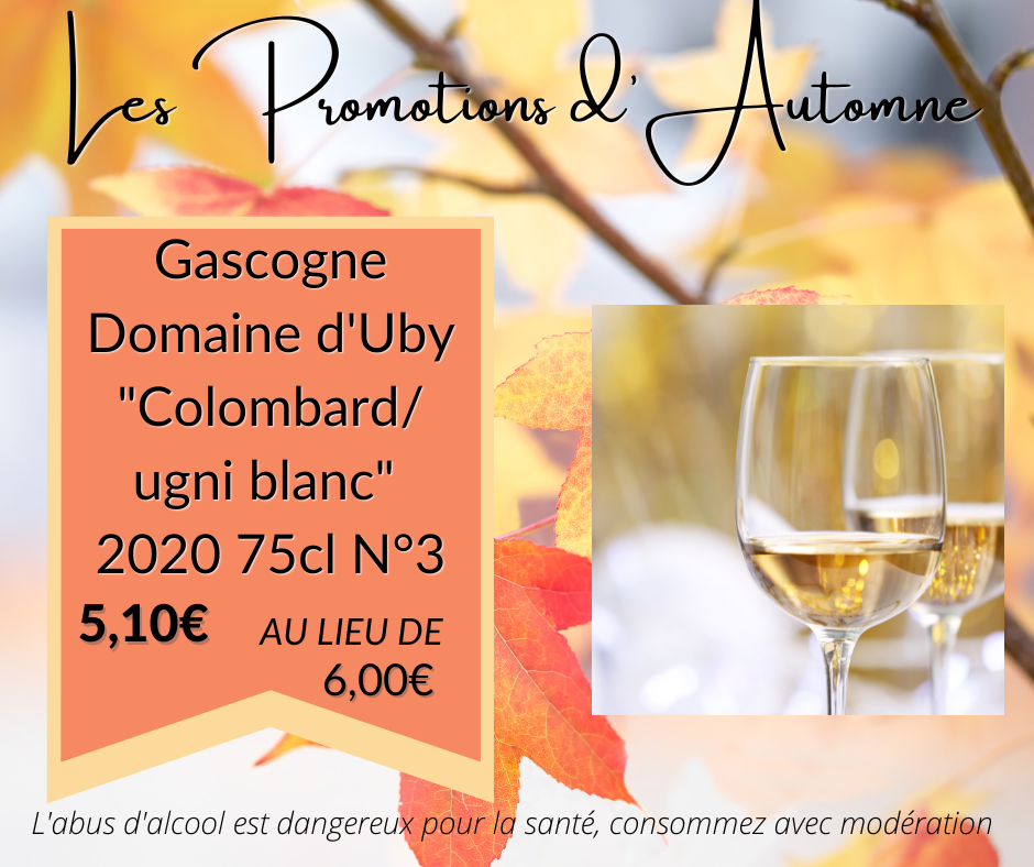 vin blanc du gers pas cher pour accompagner le foie gras