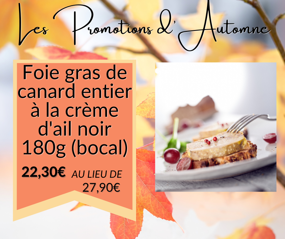 foie gras de canard du gers en promotion